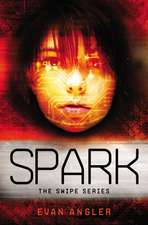 The Spark