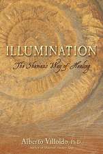 Illumination: The Shaman's Way of Healing