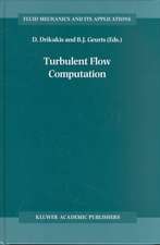 Turbulent Flow Computation