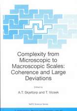 Complexity from Microscopic to Macroscopic Scales: Coherence and Large Deviations