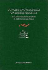 Concise Encyclopedia of Supersymmetry: And Noncommutative Structures in Mathematics and Physics