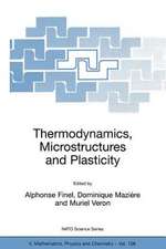 Thermodynamics, Microstructures and Plasticity