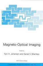 Magneto-Optical Imaging