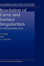 Resolution of Curve and Surface Singularities in Characteristic Zero