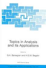 Topics in Analysis and its Applications