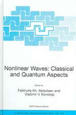 Nonlinear Waves