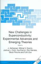 New Challenges in Superconductivity: Experimental Advances and Emerging Theories: Proceedings of the NATO Advanced Research Workshop, held in Miami, Florida, 11-14 January 2004