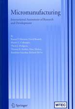 Micromanufacturing: International Research and Development