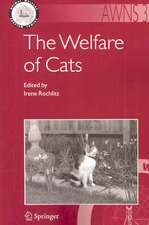 The Welfare of Cats