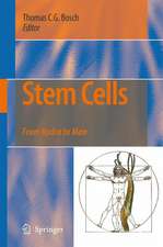 Stem Cells: From Hydra to Man