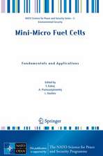 Mini-Micro Fuel Cells: Fundamentals and Applications