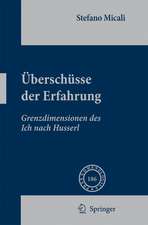 Überschüsse der Erfahrung: Grenzdimensionen des Ich nach Husserl