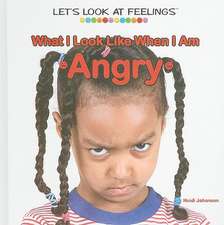 What I Look Like When I Am Angry