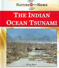 The Indian Ocean Tsunami