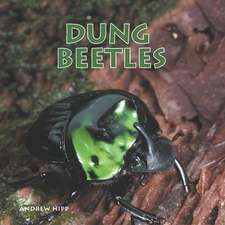 Dung Beetles