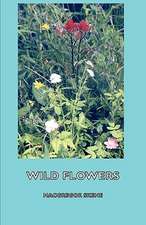 Wild Flowers