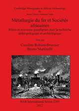 Metallurgie Du Fer Et Societes Africaines