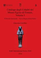 Catalogo degli Ushabti del Museo Egizio di Firenze, Volume I