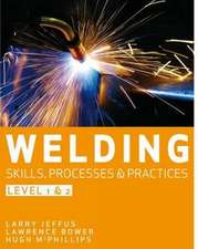 McPhillips, H: Welding Skills, Processes and Practices
