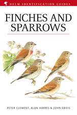 Finches and Sparrows