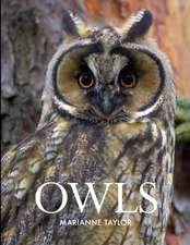 Owls