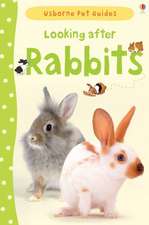 Patchett, F: Looking after Rabbits