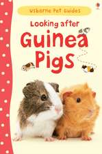 Howell, L: Looking after Guinea Pigs