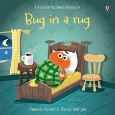 Punter, R: Bug in a Rug