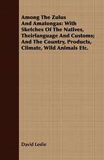 Among the Zulus and Amatongas: With Sketches of the Natives, Theirlanguage and Customs; And the Country, Products, Climate, Wild Animals Etc.