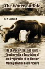 The Water Buffalo: Its Characteristics and Habits Together with a Description of the Preparation of Its Hide for Making Rawhide Loom Pick