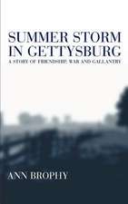 Summer Storm In Gettysburg