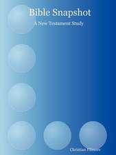 Bible Snapshot: A New Testament Study