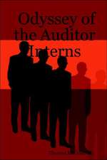 Odyssey of the Auditor Interns