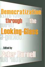 Democratization Through the Looking-glass