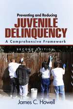 Preventing and Reducing Juvenile Delinquency: A Comprehensive Framework