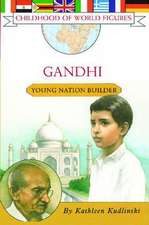 Gandhi: Young Nation Builder