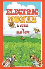 Electric Honey: Life Cycle - Business Cycle - Stock Cycle