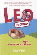 Leo in China: A Greyhound's 2nd Tale