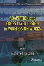 Adaptation and Cross Layer Design in Wireless Networks