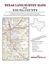 Texas Land Survey Maps for Young County