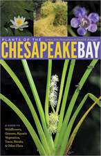 Plants of the Chesapeake Bay – A Guide to Wildflowers, Grasses, Aquatic Vegetation, Trees, Shrubs and Other Flora