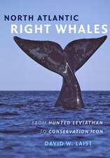 North Atlantic Right Whales – From Hunted Leviathan to Conservation Icon