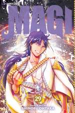 Magi, Vol. 29: The Labyrinth of Magic