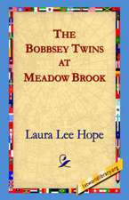 The Bobbsey Twins at Meadow Brook