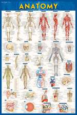 Anatomy-Paper