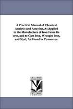 A Practical Manual of Chemical Analysis and Assaying, As Applied to the Manufacture of Iron From Its ores, and to Cast Iron, Wrought Iron, and Steel, As Found in Commerce.