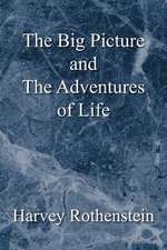 The Big Picture and the Adventures of Life