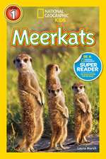 Meerkats