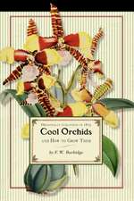 Cool Orchids (Trade): With a Descriptive List of All the Best Species in Cultivation