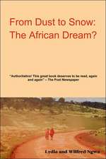 From Dust to Snow: The African Dream?